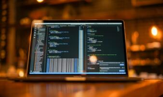 糖心在线观看免费完整版